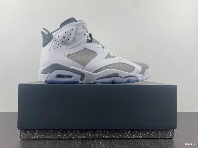 Rep TBK CT8529-100 Air Cool Jordan Grey 6 0730